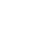 Logo Wordpress